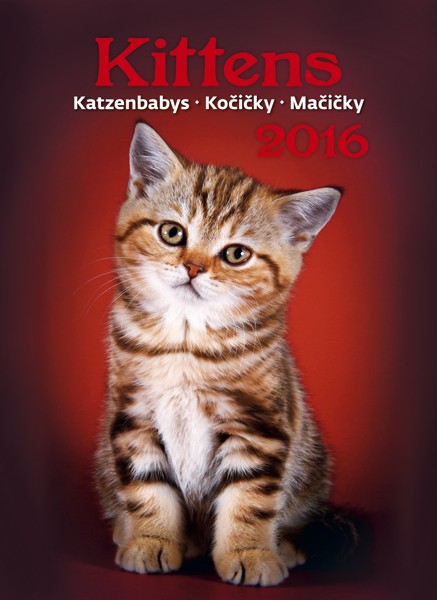 Kočičky kalendář