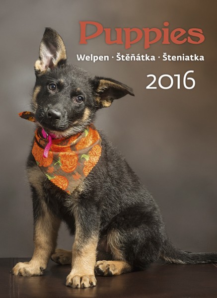 Štěňátka kalendář